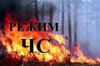 В баргузинских лесах Бурятии введен режим ЧС