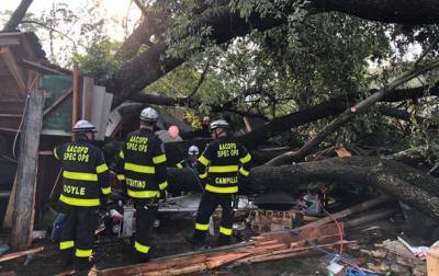 В США на гараж упало огромное дерево, пострадали 19 человек