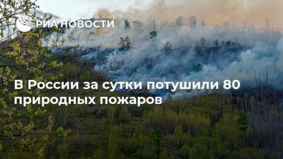 В России за сутки потушили 80 природных пожаров