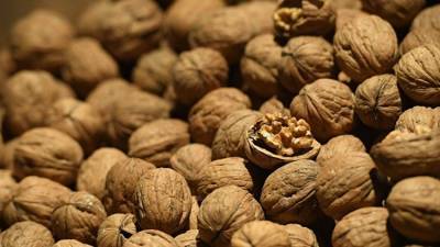 Турецкие медики рекомендуют грецкие орехи для красоты и ума