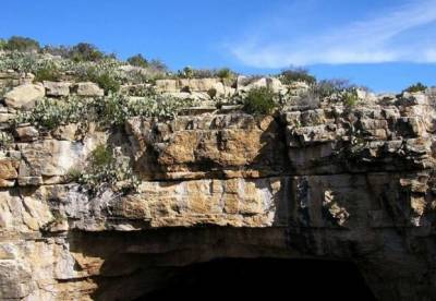 В пещерах Мексики археологи обнаружили шахты древних индейцев