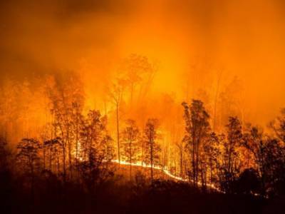 Лесные пожары в Сибири: огонь охватил 3 миллиона гектаров