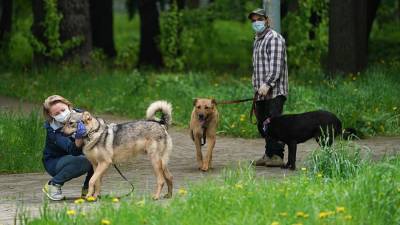 Путин поручил усилить ответственность за нарушение законов об обращении с животными