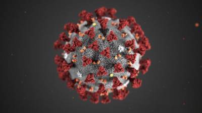 Вспышка коронавируса в Баварии: более 2 000 челок могут быть заражены COVID-19