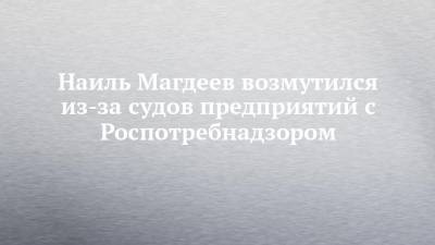 Наиль Магдеев возмутился из-за судов предприятий с Роспотребнадзором