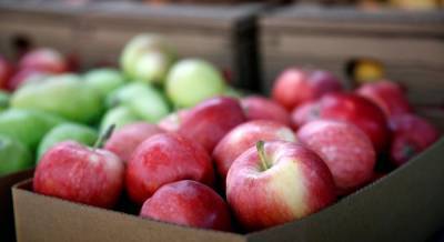 Дороже бананов: в Украине резко выросли цены на яблоки