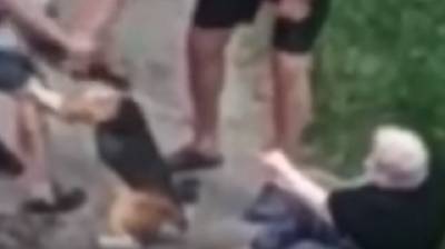 Неадекватный хозяин натравил бойцовского пса на прохожих в Киеве, видео: "Гребитесь сами"
