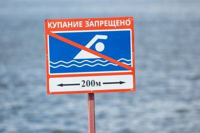 На Урале 19-летний парень утонул, пытаясь переплыть городской пруд на спор за ₽10 тыс.
