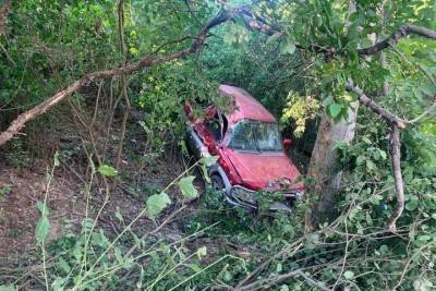 В Краснодаре погиб водитель машины, врезавшейся в дерево