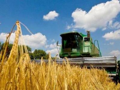 Украина нарастила экспорт зерна и масла