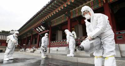В Китае объявлен третий уровень опасности из-за вспышки бубонной чумы