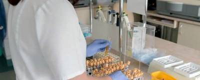 На Колыме за сутки выявили 12 новых случаев заражения коронавирусом
