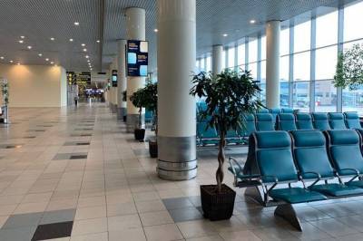 Росавиация одобрила выделение аэропортам субсидий на 1,4 млрд рублей