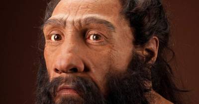 Ученые "обвинили" неандертальцев в человеческой уязвимости к новому коронавирусу