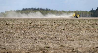 Rzeczpospolita: Иностранцы могут пользоваться землей в Украине и без специального рынка