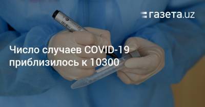 Число случаев COVID-19 приблизилось к 10300