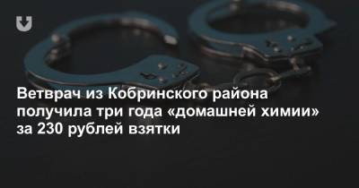 Ветврач из Кобринского района получила три года «домашней химии» за 230 рублей взятки