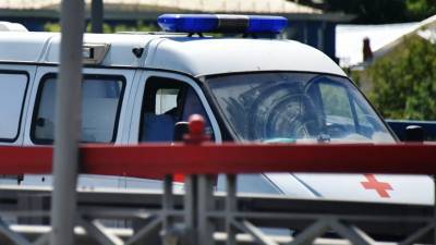 В результате ДТП с грузовиком в Ростовской области погибли женщина и ребёнок