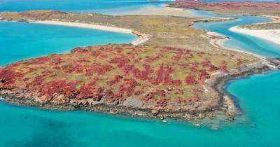 На дне океана в Австралии найдены следы древней цивилизации - popmech.ru - Австралия