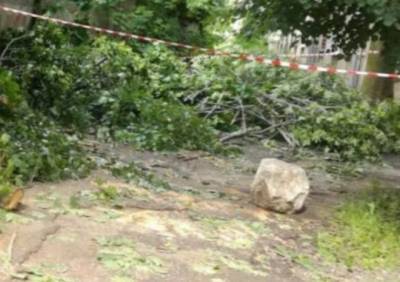 В Рязани устраняют последствия субботнего урагана