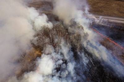 В Воронежской области за сутки сгорело более 100 га леса