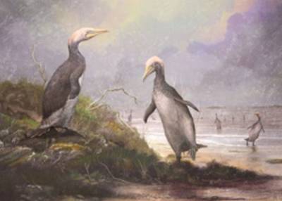 Ученые нашли двойников огромных пингвинов в Северном полушарии