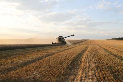 Sohu: США из-за России могут понести огромные убытки в сельском хозяйстве
