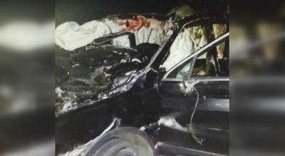 В Ядринском районе водитель погиб в столкновении с лосем