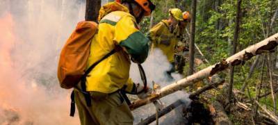 Десантники пожарной службы Карелии уехали спасать леса Красноярского края