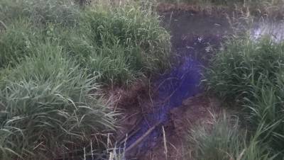 Росприроднадзор нашел источник загрязнения реки Славянки