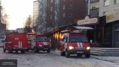 Пострадавшая при пожаре в "Хромой лошади" Ирина Пекарская умерла, не приходя в себя