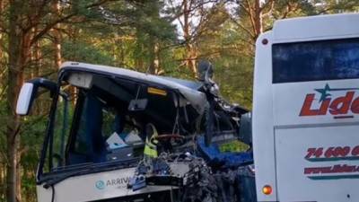 В Польше произошло ДТП с участием нескольких автобусов: ранены два украинца