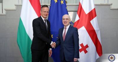 Глава МИД Венгрии: Все больше граждан Венгрии хотят посетить Грузию