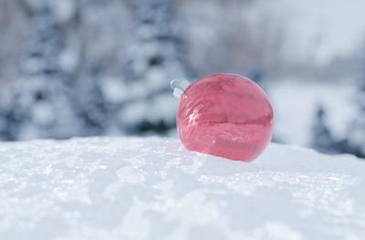 Учёные назвали розовый снег в Альпах маркером необратимости глобального потепления