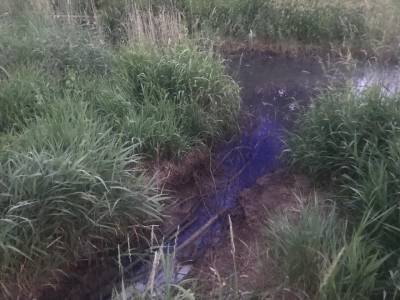 Найден виновник загрязнения реки Славянки промышленными стоками