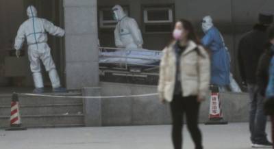 В Китае рассказали, как не заразиться бубонной чумой