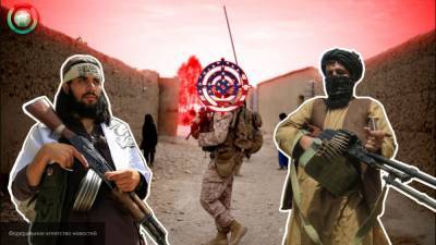 "Талибан" опроверг информацию СМИ о якобы сотрудничестве с властями РФ