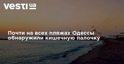 Почти на всех пляжах Одессы обнаружили кишечную палочку
