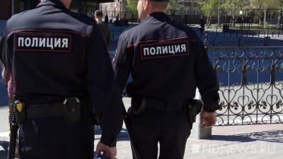 МВД признало, что полицейские во время всероссийского голосования «не всегда были на высоте»