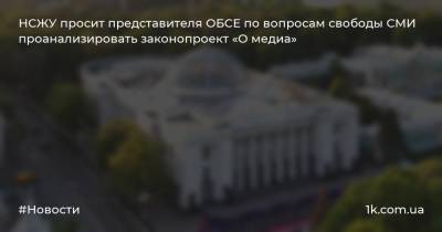 НСЖУ просит представителя ОБСЕ по вопросам свободы СМИ проанализировать законопроект «О медиа»