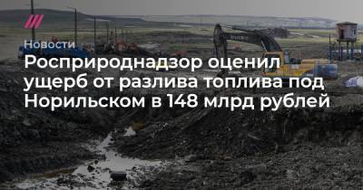 Росприроднадзор оценил ущерб от разлива топлива под Норильском в 148 млрд рублей