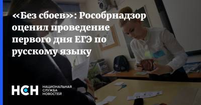 «Без сбоев»: Рособрнадзор оценил проведение первого дня ЕГЭ по русскому языку