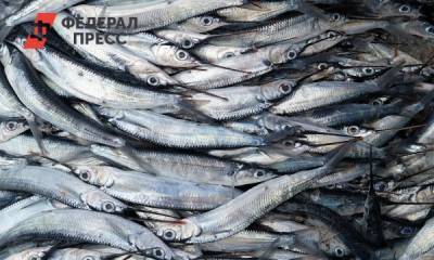 Нижегородские рыбхозы получат субсидии в размере 18,5 миллионов