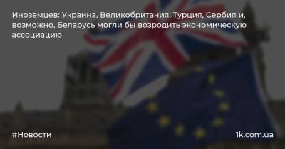 Иноземцев: Украина, Великобритания, Турция, Сербия и, возможно, Беларусь могли бы возродить экономическую ассоциацию