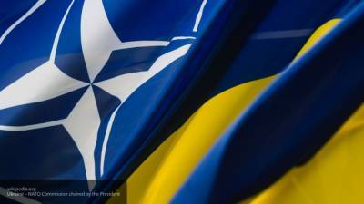 Журавко предрек серьезный конфликт в случае увеличения числа войск НАТО на Украине