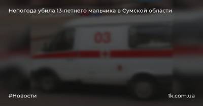 Непогода убила 13-летнего мальчика в Сумской области
