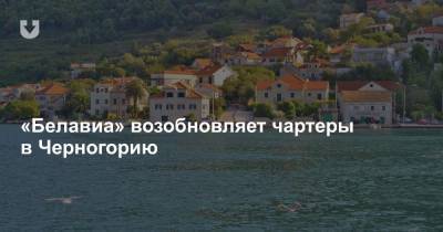 «Белавиа» возобновляет чартеры в Черногорию