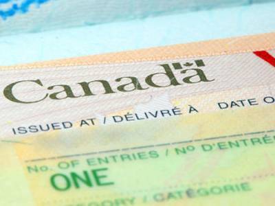 Против Верзилова возбудили уголовное дело из-за канадского паспорта