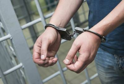 В Петербурге арестовали мужчину, обвиняемого в изнасиловании двух девочек