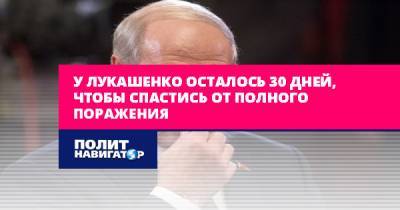 У Лукашенко осталось 30 дней, чтобы спастись от полного поражения